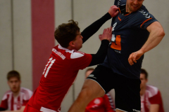 Fuerstenwalde-gewinnt-im-Handball-5-scaled
