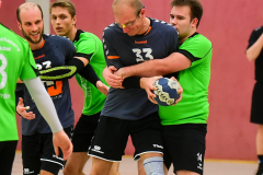 spreebote-Handball-Pneumi-letz-Heimspiel-360-2
