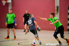 spreebote-Handball-Pneumi-letz-Heimspiel-441-2