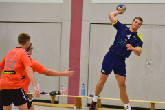 Handball-Pneumant-Fredersdorf-3