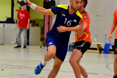 Handball-Pneumant-Fredersdorf-9