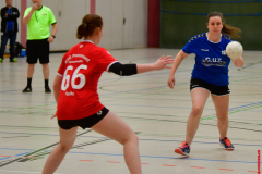 Handball-Verbandsliga-Nord-der-Frauen-04-scaled