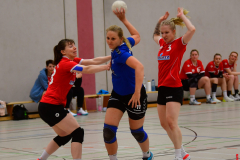 Handball-Verbandsliga-Nord-der-Frauen-08-scaled