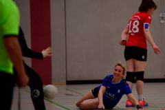Handball-Verbandsliga-Nord-der-Frauen-20-scaled