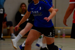 Handball-Verbandsliga-Nord-der-Frauen-22-scaled