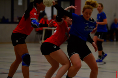 Handball-Verbandsliga-Nord-der-Frauen-25-scaled