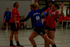 Handball-Verbandsliga-Nord-der-Frauen-26-scaled