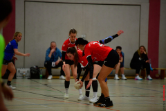 Handball-Verbandsliga-Nord-der-Frauen-27-scaled