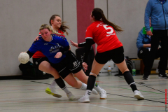 Handball-Verbandsliga-Nord-der-Frauen-28-scaled