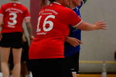 Handball-Verbandsliga-Nord-der-Frauen-29-scaled