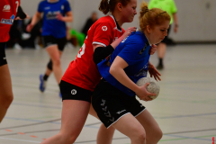 Handball-Verbandsliga-Nord-der-Frauen-30-scaled