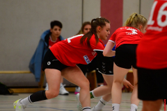 Handball-Verbandsliga-Nord-der-Frauen-32-scaled