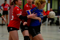 Handball-Verbandsliga-Nord-der-Frauen-36-scaled