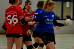 Handball-Verbandsliga-Nord-der-Frauen-37-scaled
