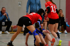 Handball-Verbandsliga-Nord-der-Frauen-39-scaled