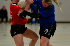 Handball-Verbandsliga-Nord-der-Frauen-40-scaled