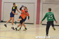 handball-Pneumant-Fredersdorf-8
